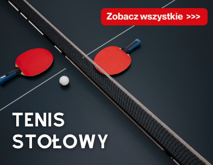 tenis stołowy