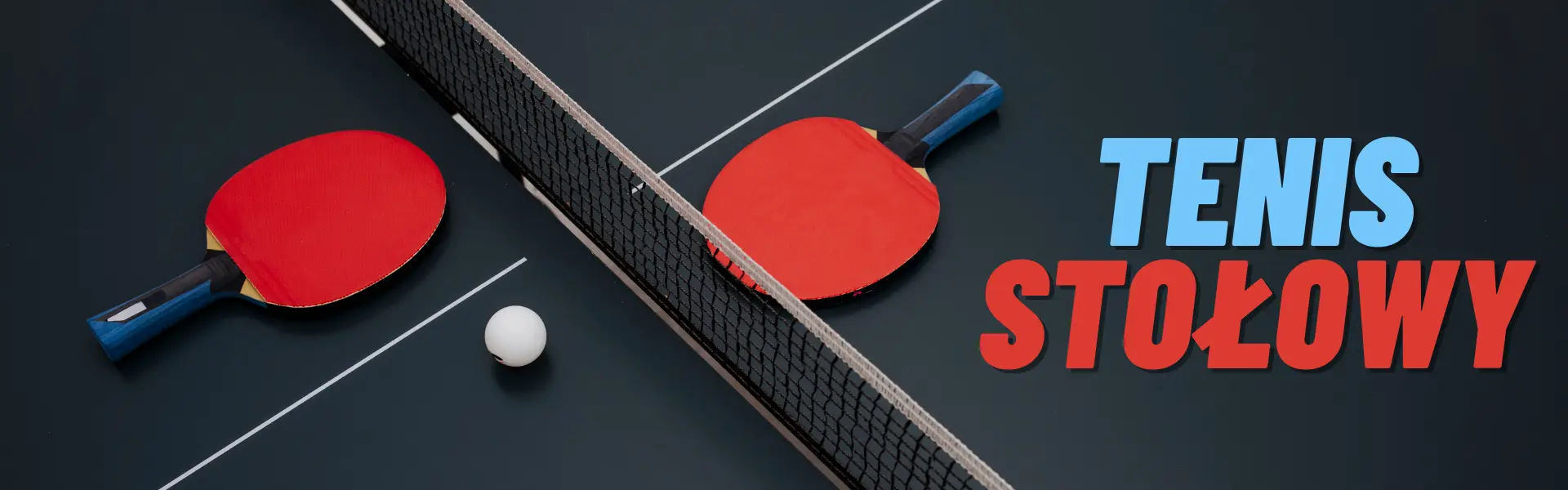 tenis stołowy